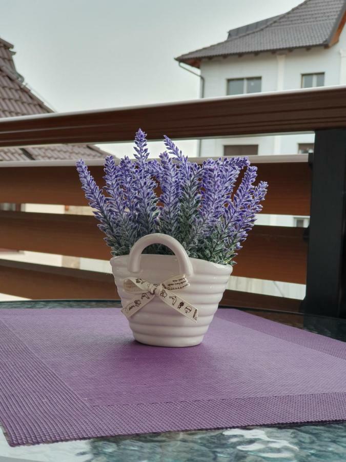 Zlatibor Hills Lara Aparthotel ภายนอก รูปภาพ